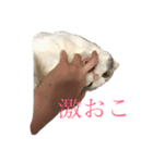 鈴木家の鈴太郎1（個別スタンプ：11）