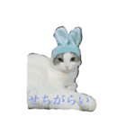 鈴木家の鈴太郎1（個別スタンプ：14）