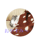 鈴木家の鈴太郎1（個別スタンプ：15）