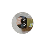 あんず さん（個別スタンプ：5）
