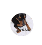あんず さん（個別スタンプ：14）