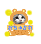 にゃんこわんこパラダイス（個別スタンプ：2）