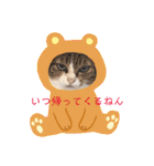 にゃんこわんこパラダイス（個別スタンプ：16）