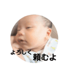涼真君スタンプ（個別スタンプ：4）