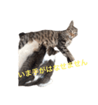 プゥとシャルと仲間たち①（個別スタンプ：6）