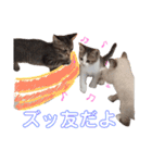 プゥとシャルと仲間たち①（個別スタンプ：24）
