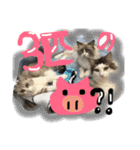 るなりりれおん（個別スタンプ：3）