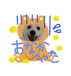 るなりりれおん（個別スタンプ：5）