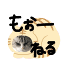 るなりりれおん（個別スタンプ：16）