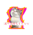 るなりりれおん（個別スタンプ：20）