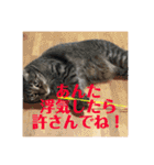 るなりりれおん（個別スタンプ：24）