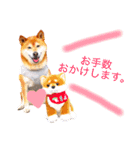 柴犬のろく①♡じんの友達シリーズ（個別スタンプ：2）