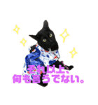 柴犬、猫、デグー（個別スタンプ：15）