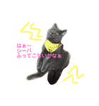 毒舌ねこの"もちもち"（個別スタンプ：2）