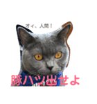 毒舌ねこの"もちもち"（個別スタンプ：7）