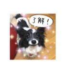 とわちゃん（個別スタンプ：1）