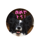 とわちゃん（個別スタンプ：8）