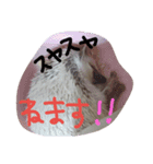はりねずみのマロンちゃん②（個別スタンプ：5）