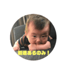 だんちゃんスタンプ第二弾（個別スタンプ：13）