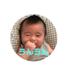 だんちゃんスタンプ第二弾（個別スタンプ：28）