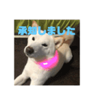 ゴン太さんとくう太さん（個別スタンプ：14）