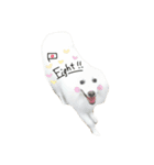 日本スピッツのおすぴくん（個別スタンプ：13）
