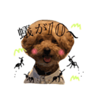 亀屋のコタロウくん（個別スタンプ：10）