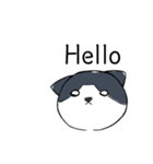 ねこひなた③（個別スタンプ：1）