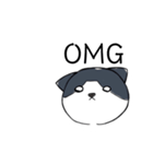 ねこひなた③（個別スタンプ：4）