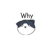 ねこひなた③（個別スタンプ：8）