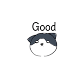 ねこひなた③（個別スタンプ：11）