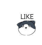 ねこひなた③（個別スタンプ：12）