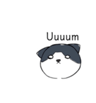 ねこひなた③（個別スタンプ：16）
