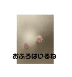 ショコラ❤️2（個別スタンプ：7）