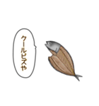 サメと干物達スタンプ（個別スタンプ：5）