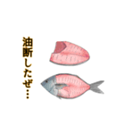 サメと干物達スタンプ（個別スタンプ：7）