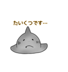 サメと干物達スタンプ（個別スタンプ：10）