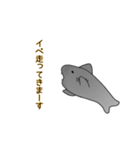 サメと干物達スタンプ（個別スタンプ：12）