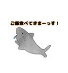 サメと干物達スタンプ（個別スタンプ：14）