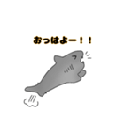 サメと干物達スタンプ（個別スタンプ：16）