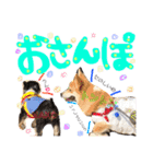 トントン スタンプ（個別スタンプ：13）