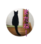 黒猫ジジのスタンプ2（個別スタンプ：4）