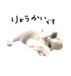 ねこ の ちくわ（個別スタンプ：5）