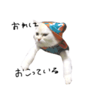 ねこ の ちくわ（個別スタンプ：19）