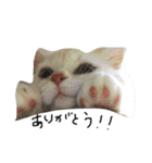 ねこ の ちくわ（個別スタンプ：22）