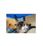 聞き返す（個別スタンプ：5）