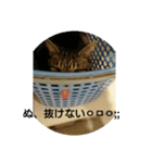聞き返す（個別スタンプ：6）