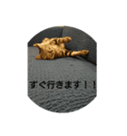 聞き返す（個別スタンプ：7）