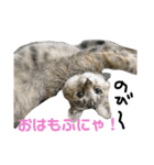 さくら三昧・基本編（個別スタンプ：1）