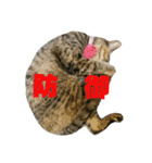 さくら三昧・基本編（個別スタンプ：22）